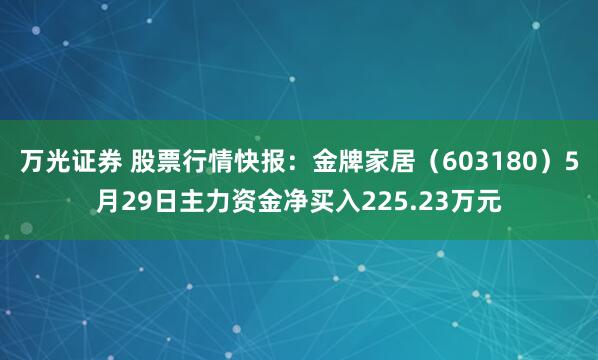 万光证券 股票行情快报:金牌家居(603180)5月29日主力资金净买入225.23万元