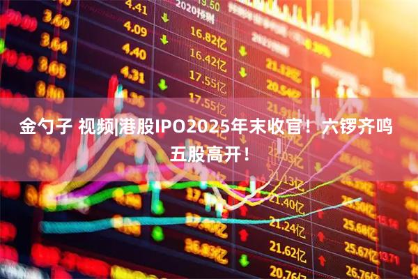 金勺子 视频|港股IPO2025年末收官!六锣齐鸣 五股高开!